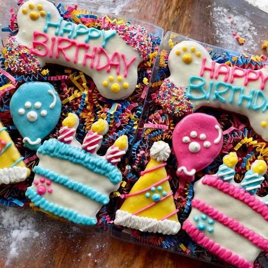 GIFT BOX Fiesta PAWTY Dog Treats