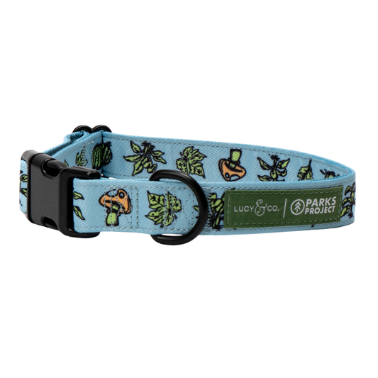 Lucy & Co. x Parks Project Feel the Earth Breathe Collar