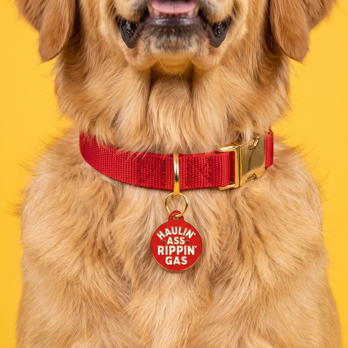 Funny Dog Tag Charm & Pet ID - Haulin Ass Ripping Gas