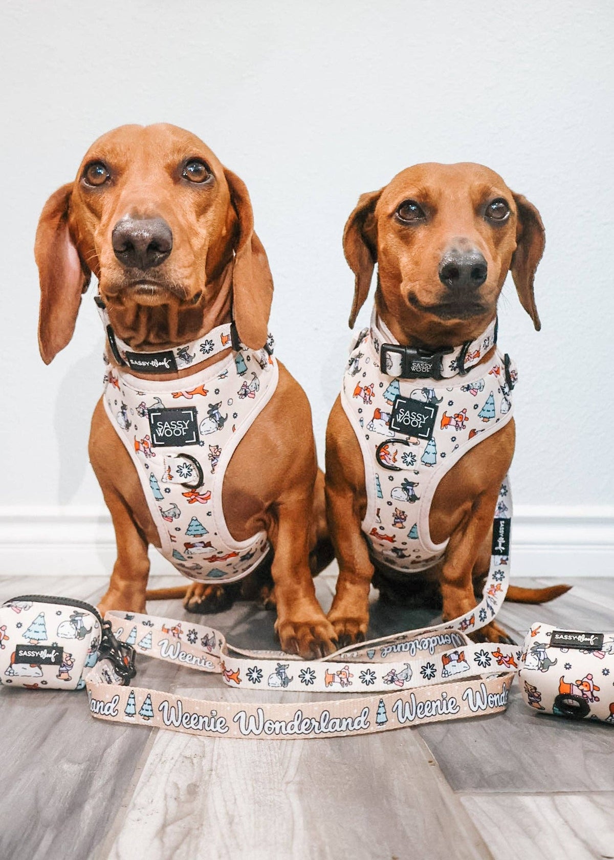 Dog Collar - Weenie Wonderland