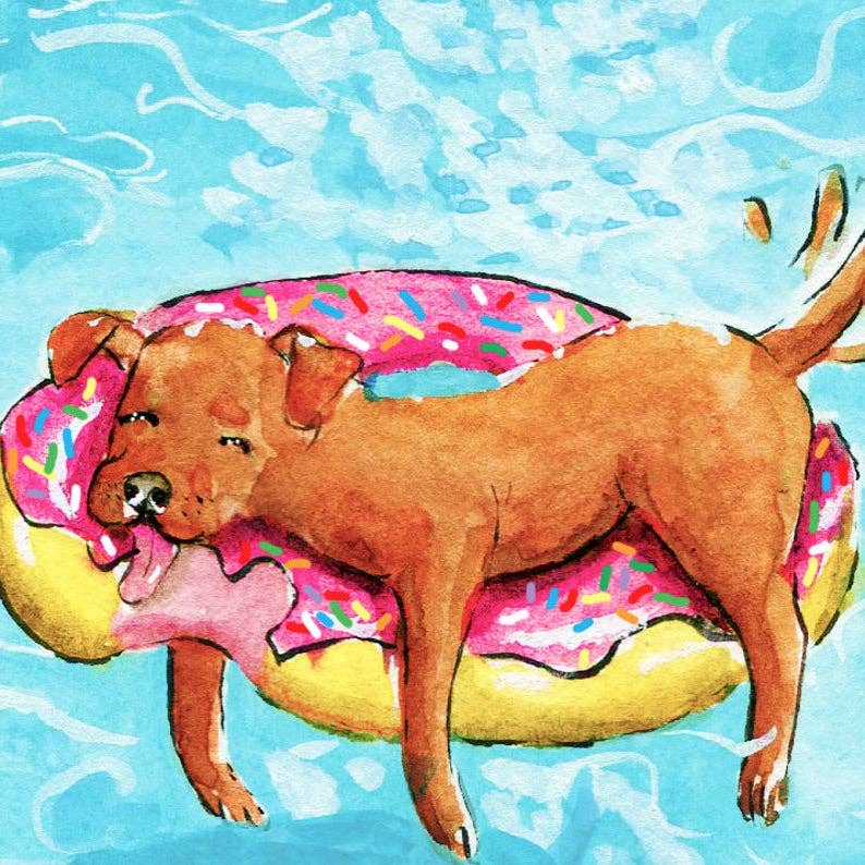 Summer Pool Dog - Funny Birthday Card