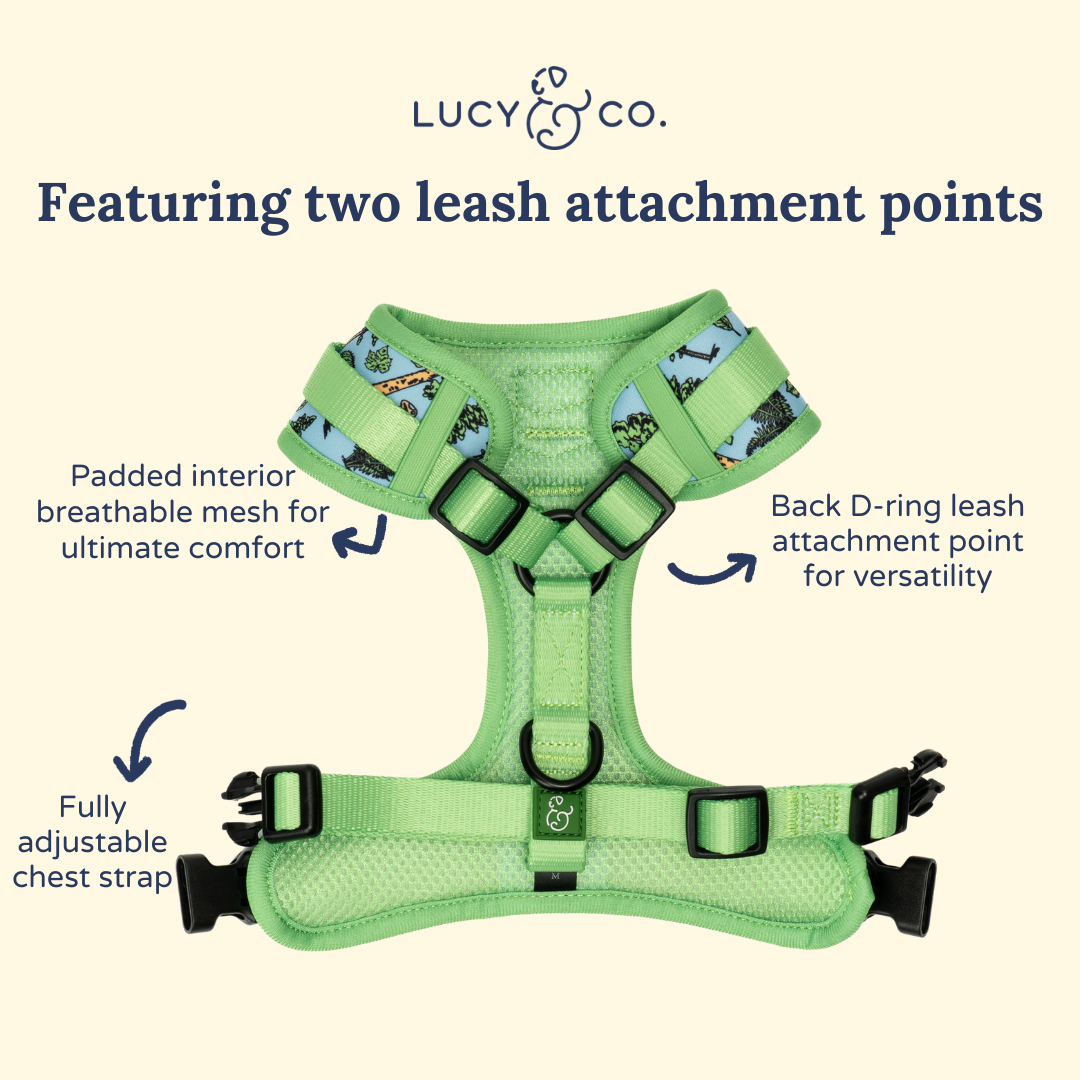 Lucy & Co. x Parks Project Feel the Earth Breathe No-Pull Harness