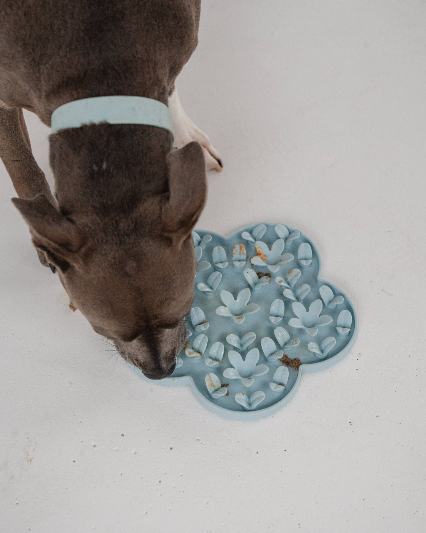 Blue Flower Enrichment Snuffle Mat