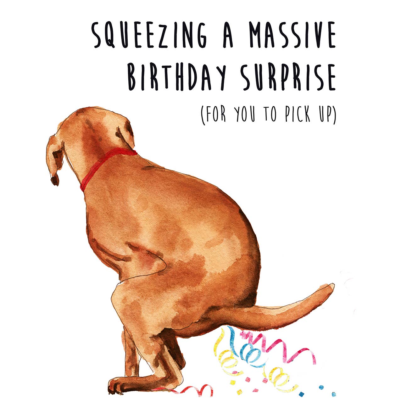 Naughty Dog Surprise Gift - Funny Birthday Card