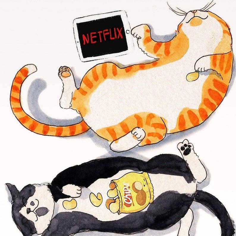 Netflix Chill Cats - Funny Valentines Day Card