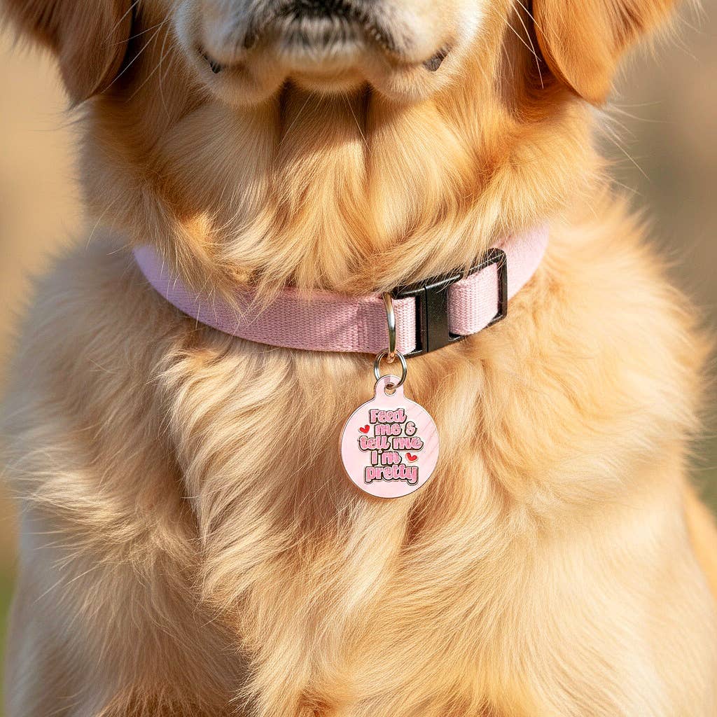 Cute Dog ID Tag w/ Personalized QR Code - Tell Me I'm Pretty