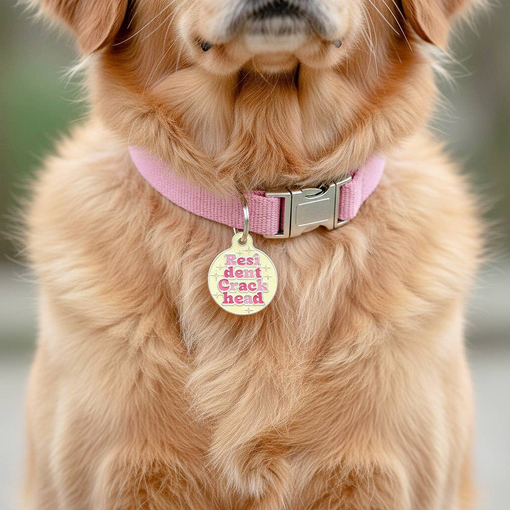 Dog Tag Collar Charm - Resident Crackhead - QR Code