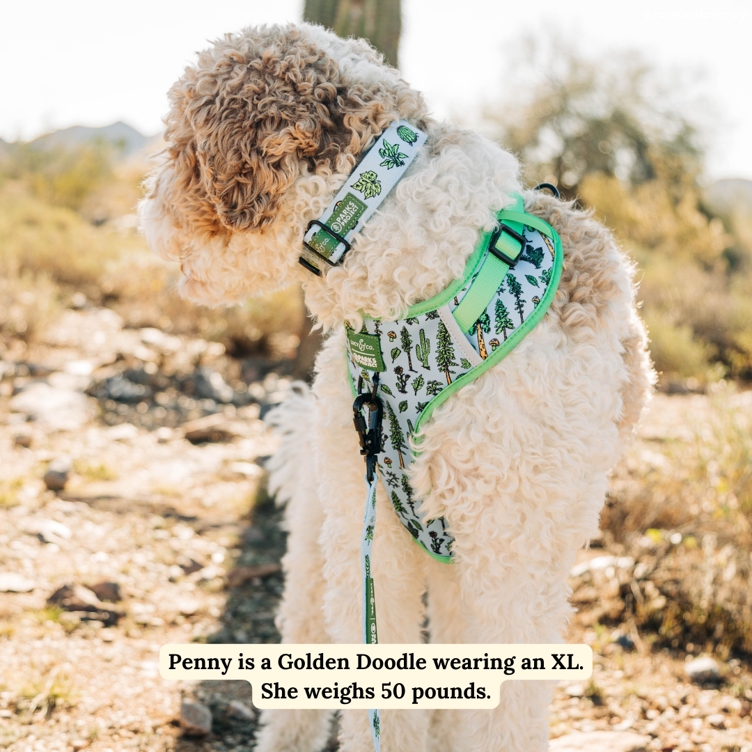 Lucy & Co. x Parks Project Feel the Earth Breathe No-Pull Harness