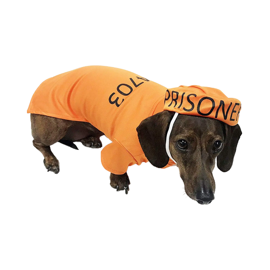 Orange Prisoner Dog Costume