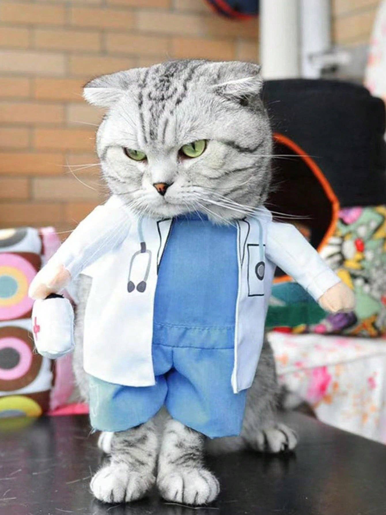 Halloween Funny Pet Costume, Veterinarian Standing Outfit, Pet Transformation Clothes, Silly Upright Dress For Dogs And Cats, Pet Photography Props, Pet Cosplay Apparel, Halloween Party Outfit