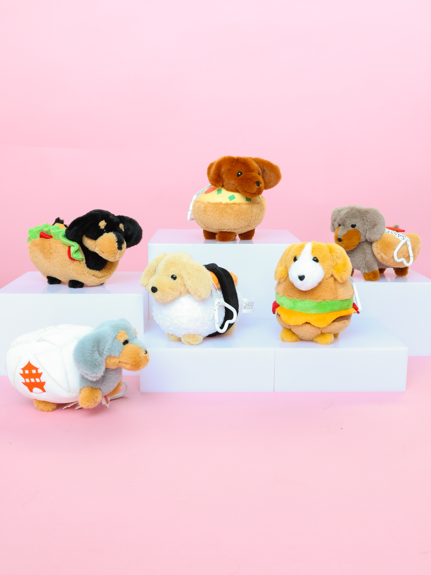 Dachshund Keychain Blind Box