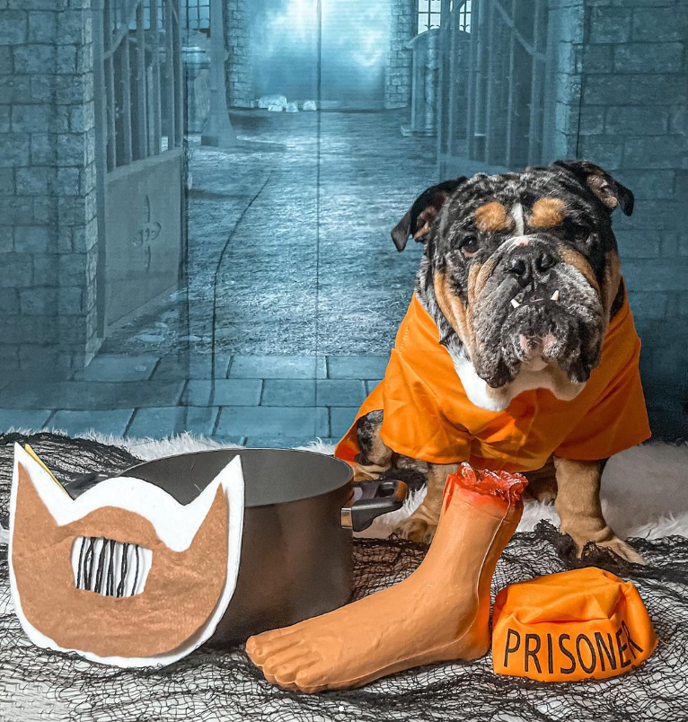 Orange Prisoner Dog Costume