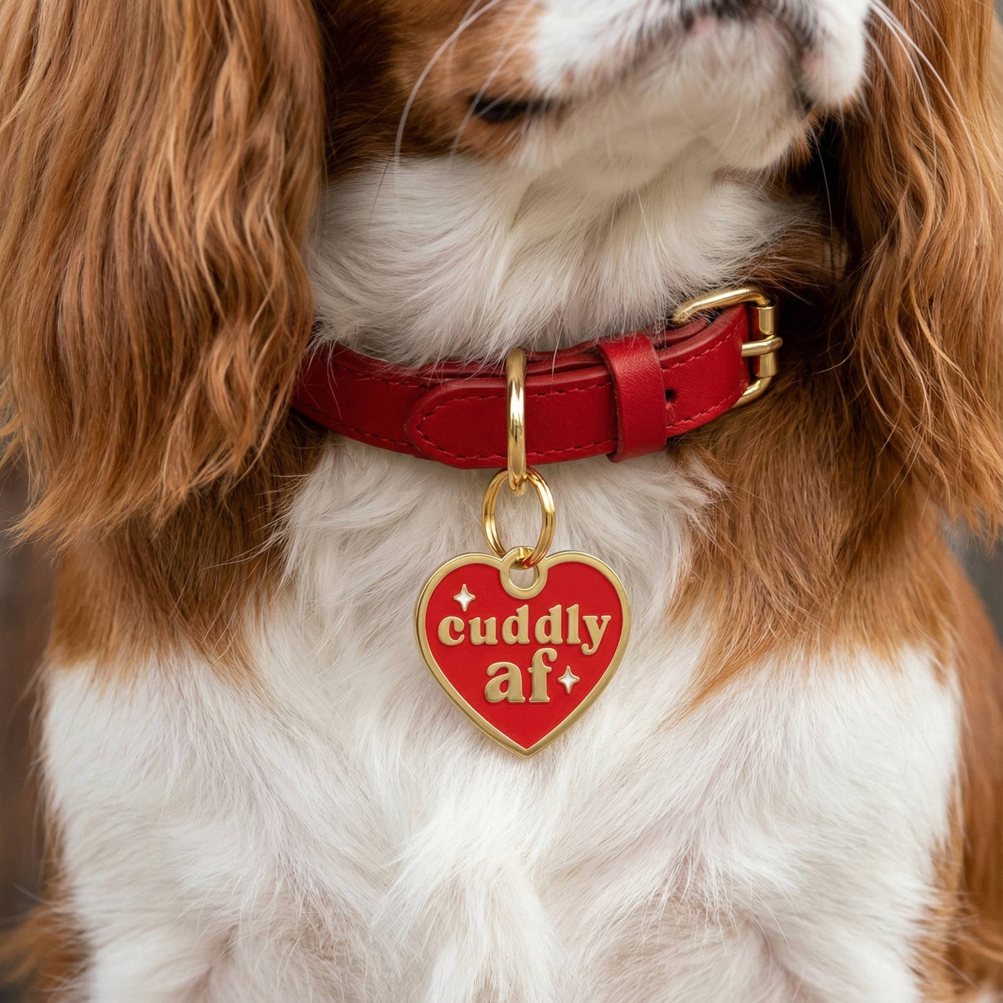 Gold Enamel Dog Tag w/ Scannable ID - Cuddly AF Charm