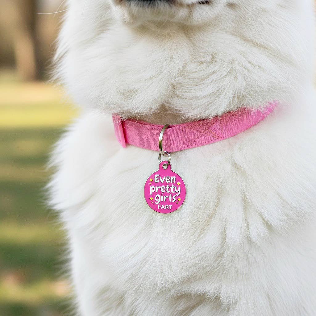 Funny Dog Collar Charm Pet ID Tag - Even Pretty Girls Fart