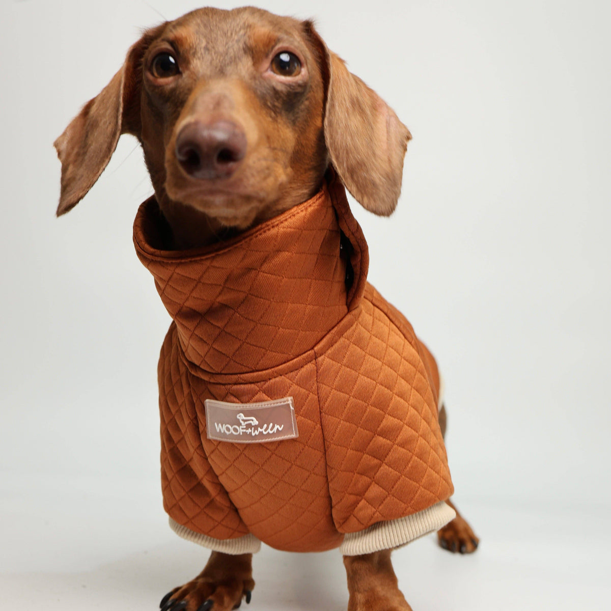 Dachshund Sweater - Rust Quilted Turtleneck Sweater