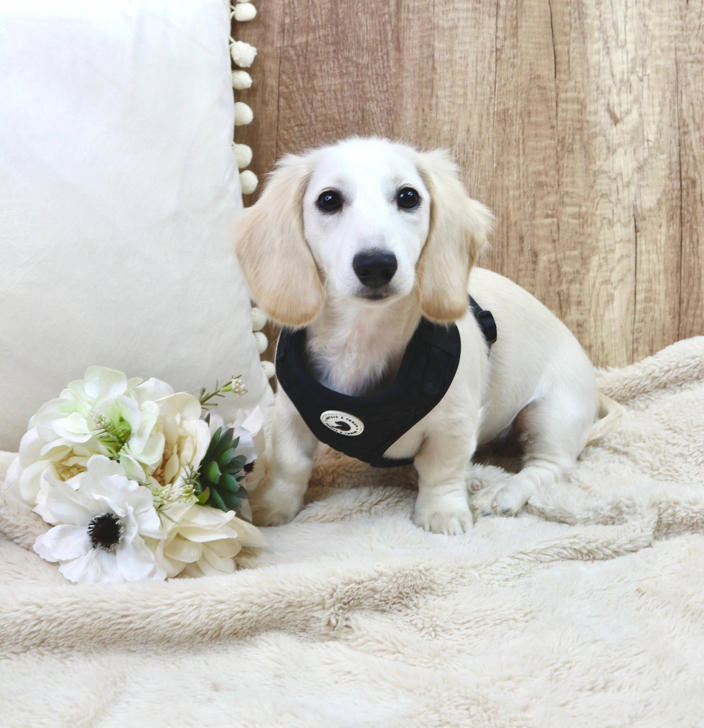 Midnight Bouquet Adjustable Harness