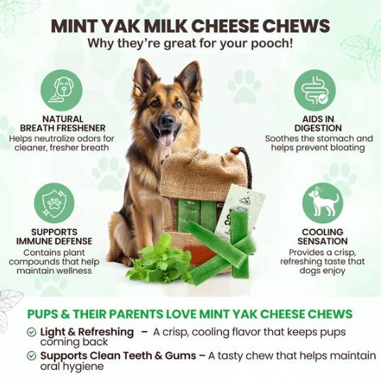 Mint Yak Milk Chews - Large Sized