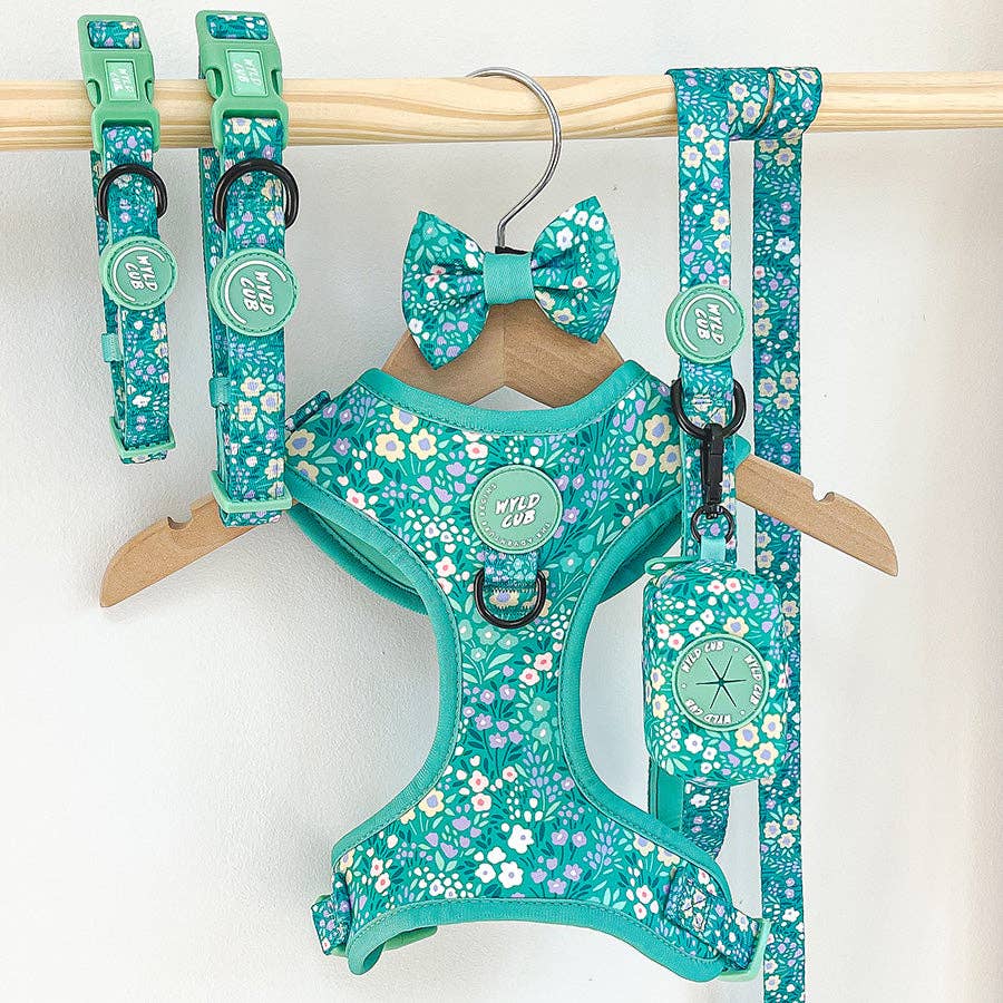 Dog Bow Tie: Notting Hill Mint