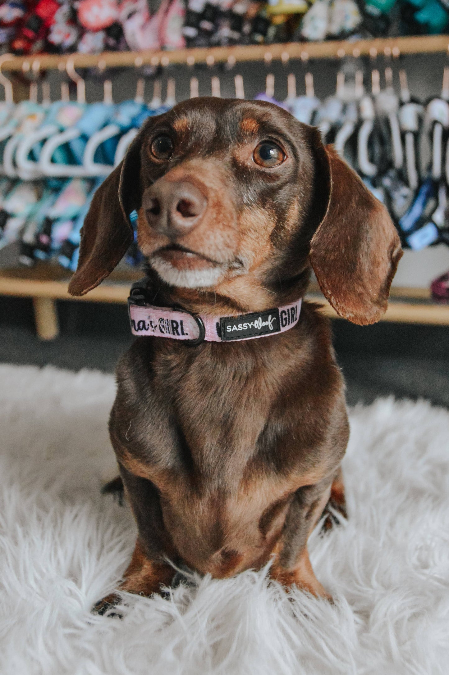 Dog Collar - Mama's Girl