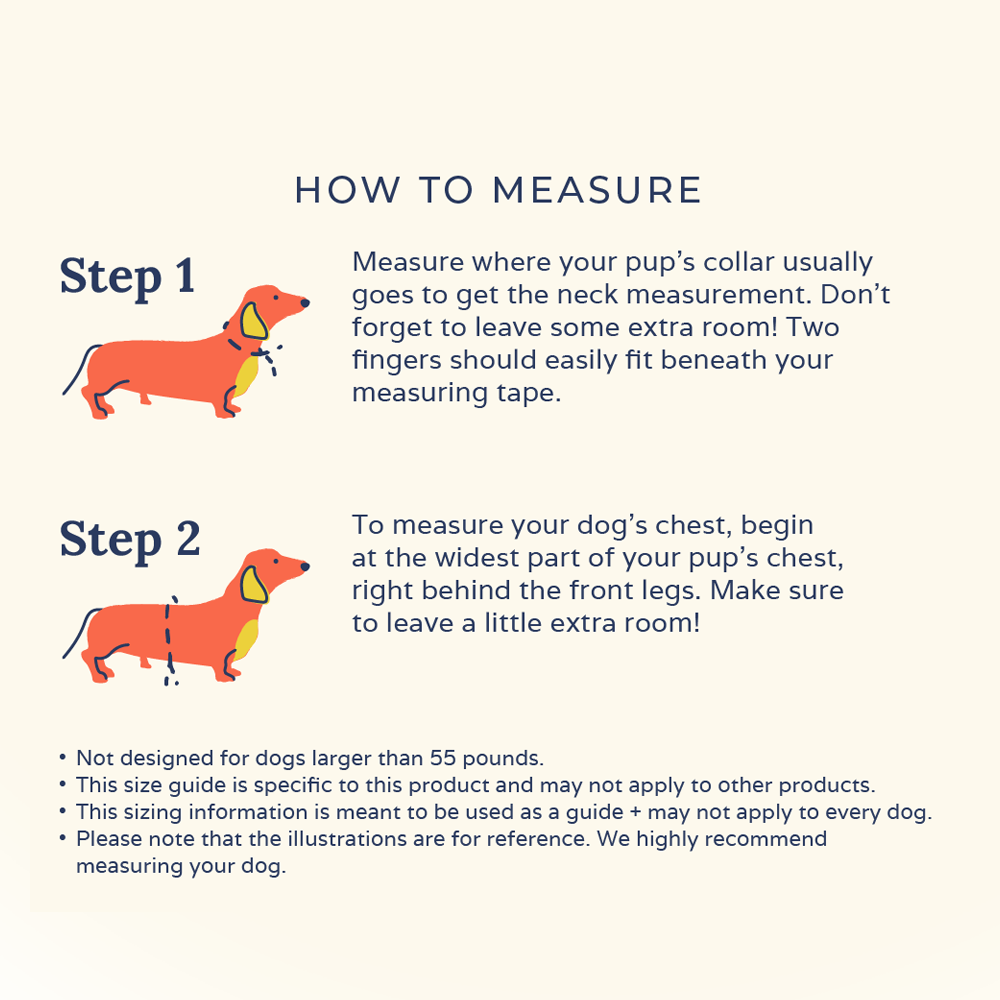 DinoROAR No-Pull Harness