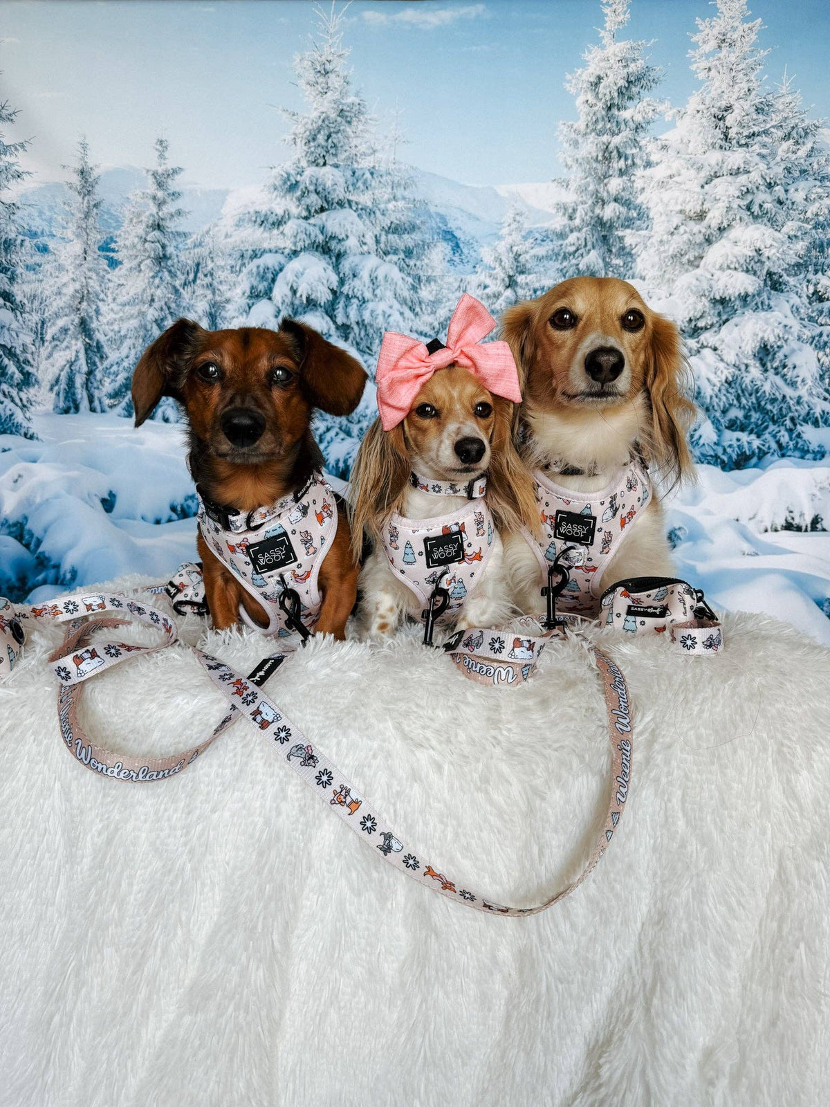 Dog Collar - Weenie Wonderland