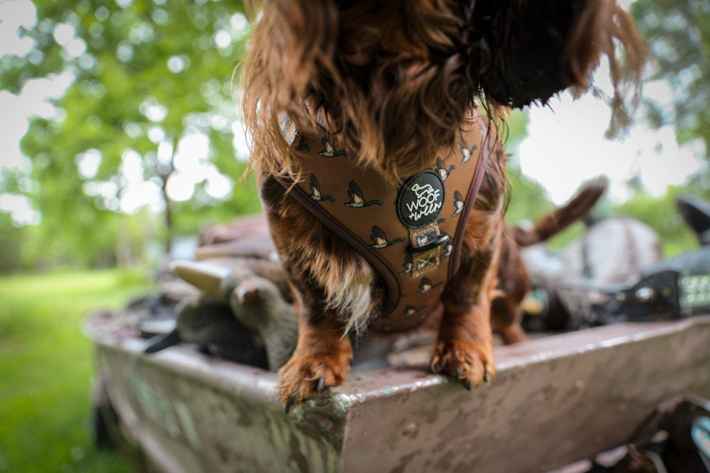 Adjustable Dog Harness - DUCK HUNTING DOG