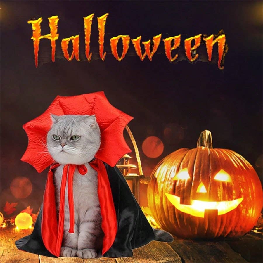 1pc Adjustable Halloween Pet Cat And Dog Cloak Costume