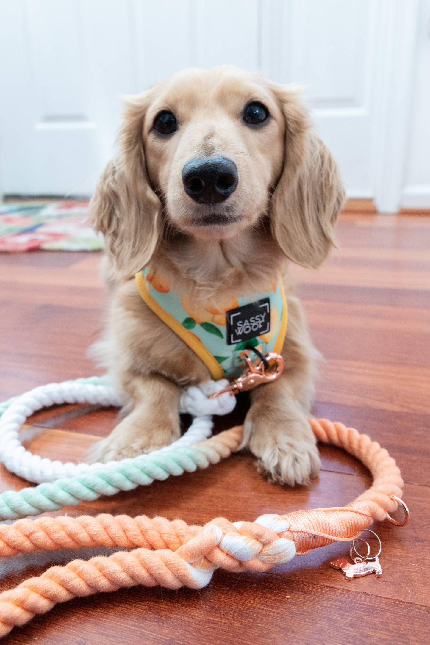 Dog Rope Leash - Honeydew