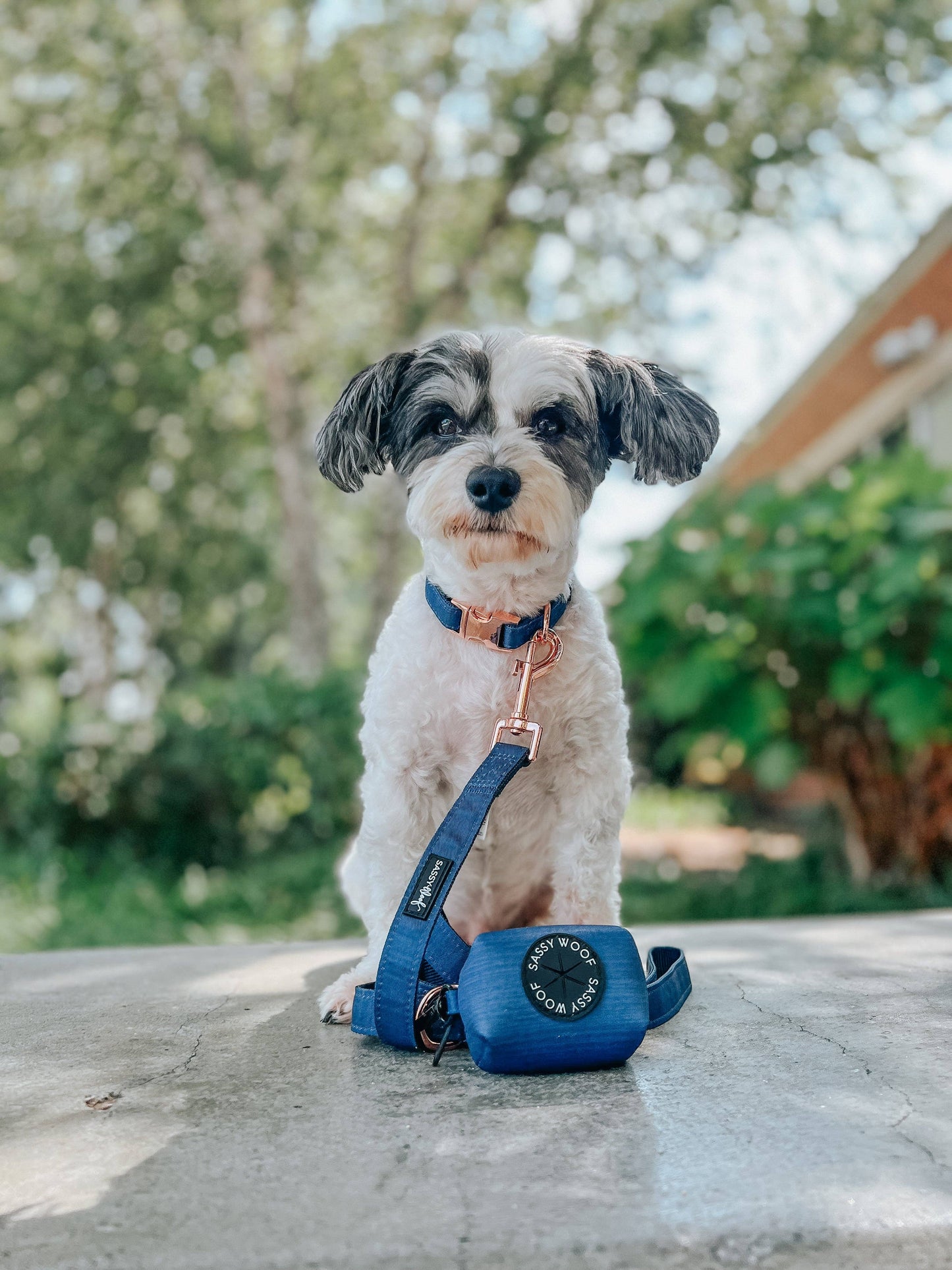 Dog Waste Bag Holder - Twilight