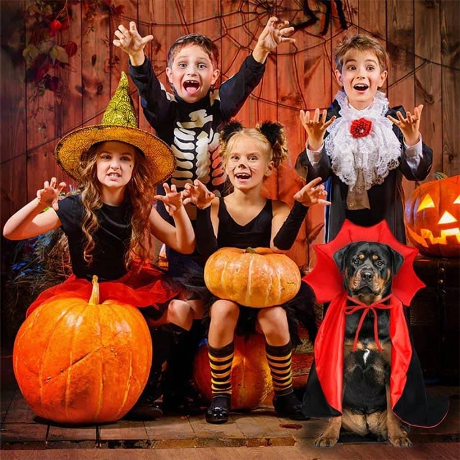 1pc Adjustable Halloween Pet Cat And Dog Cloak Costume