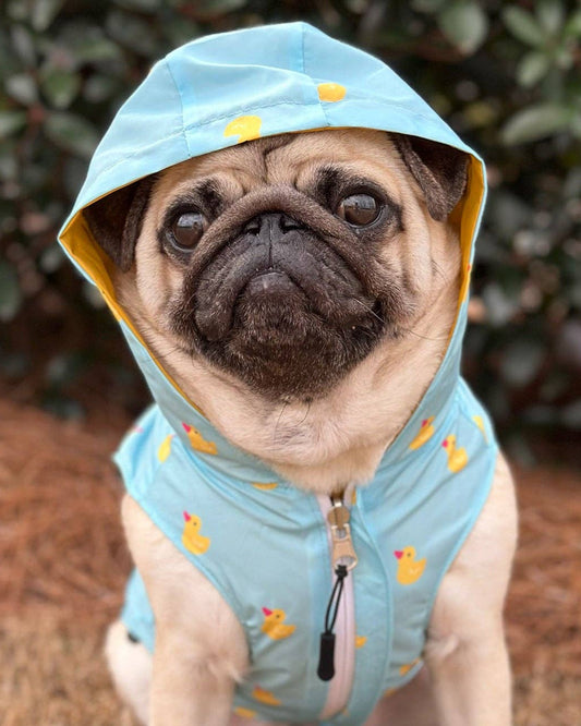 The Lucky Ducky Reversible Raincoat