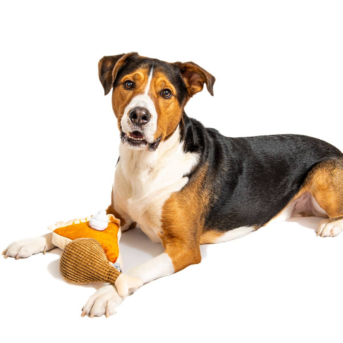 Midlee Thanksgiving Pumpkin Pie and Turkey Leg Plush Dog Toy