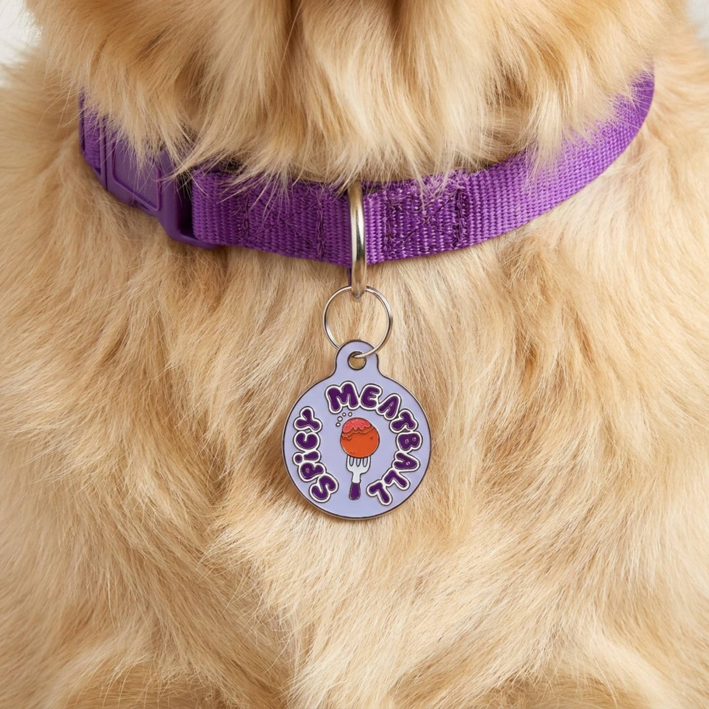 Funny Dog Tag Charm or Pet ID Tag - Spicy Meatball