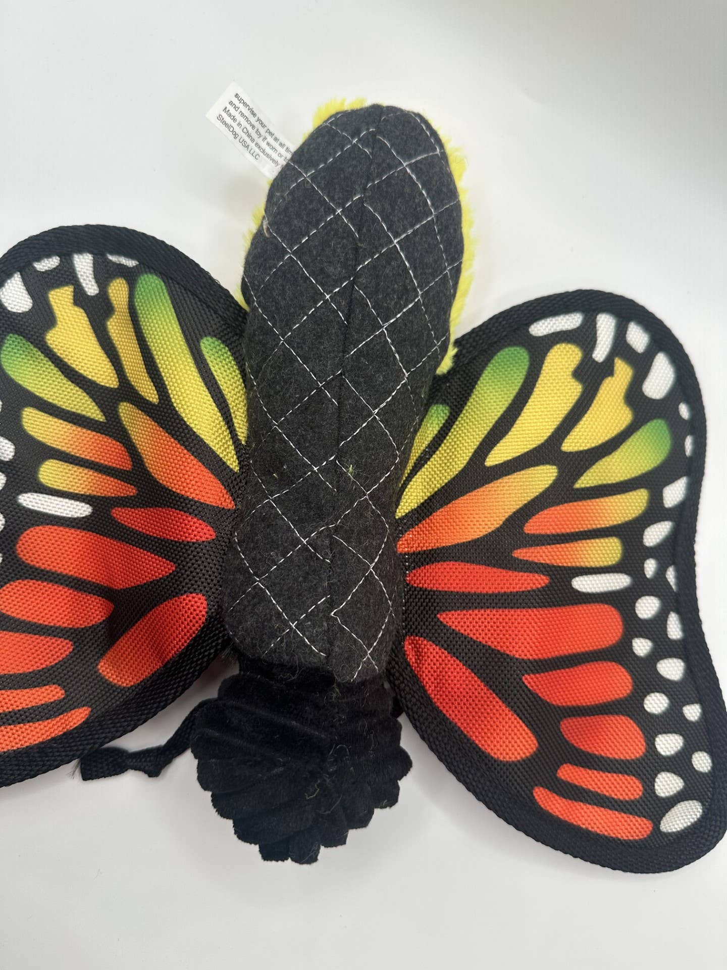 Ruffian Flyer Butterfly