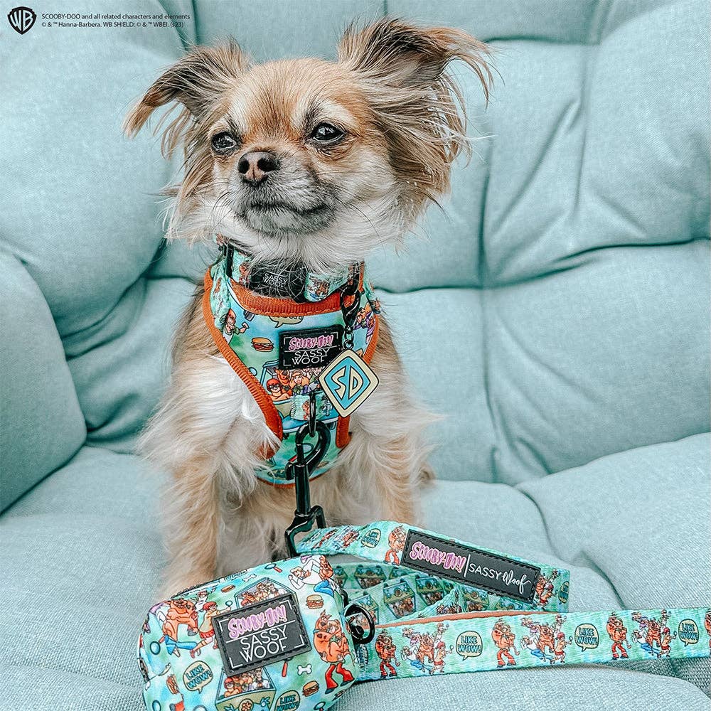 Dog Adjustable Harness - Scooby-Doo™