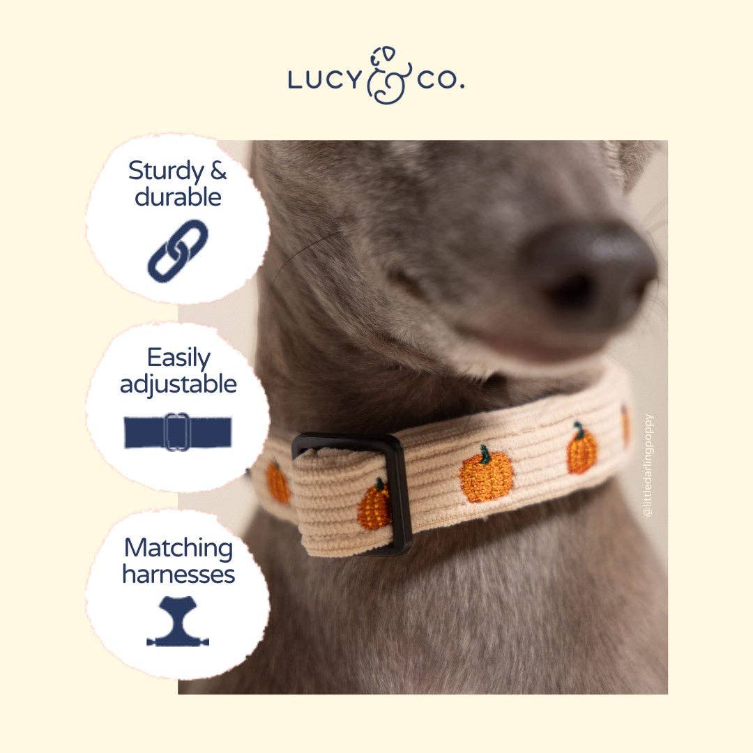 Oh My Gourd Corduroy Collar