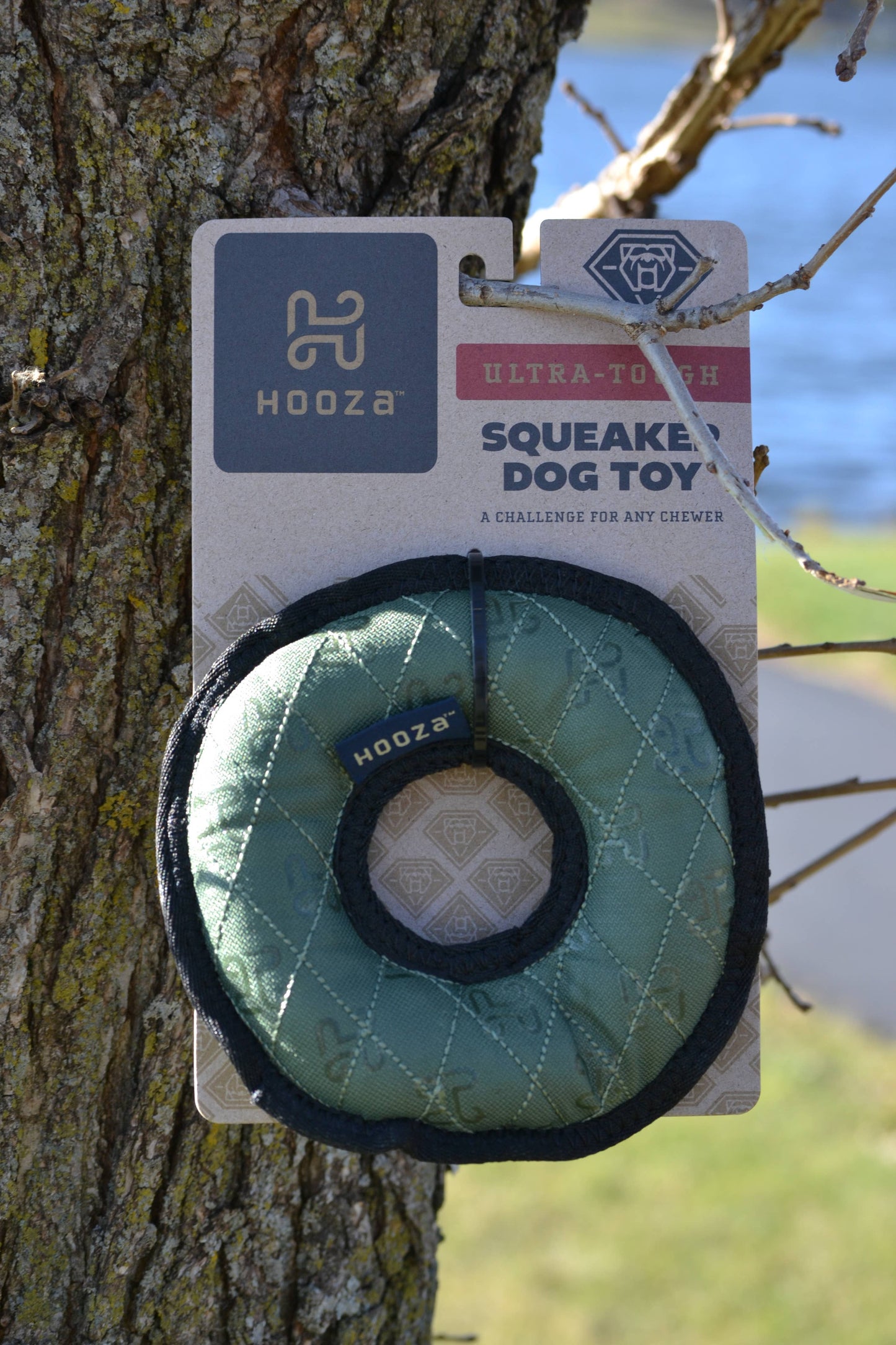 Hooza Ring