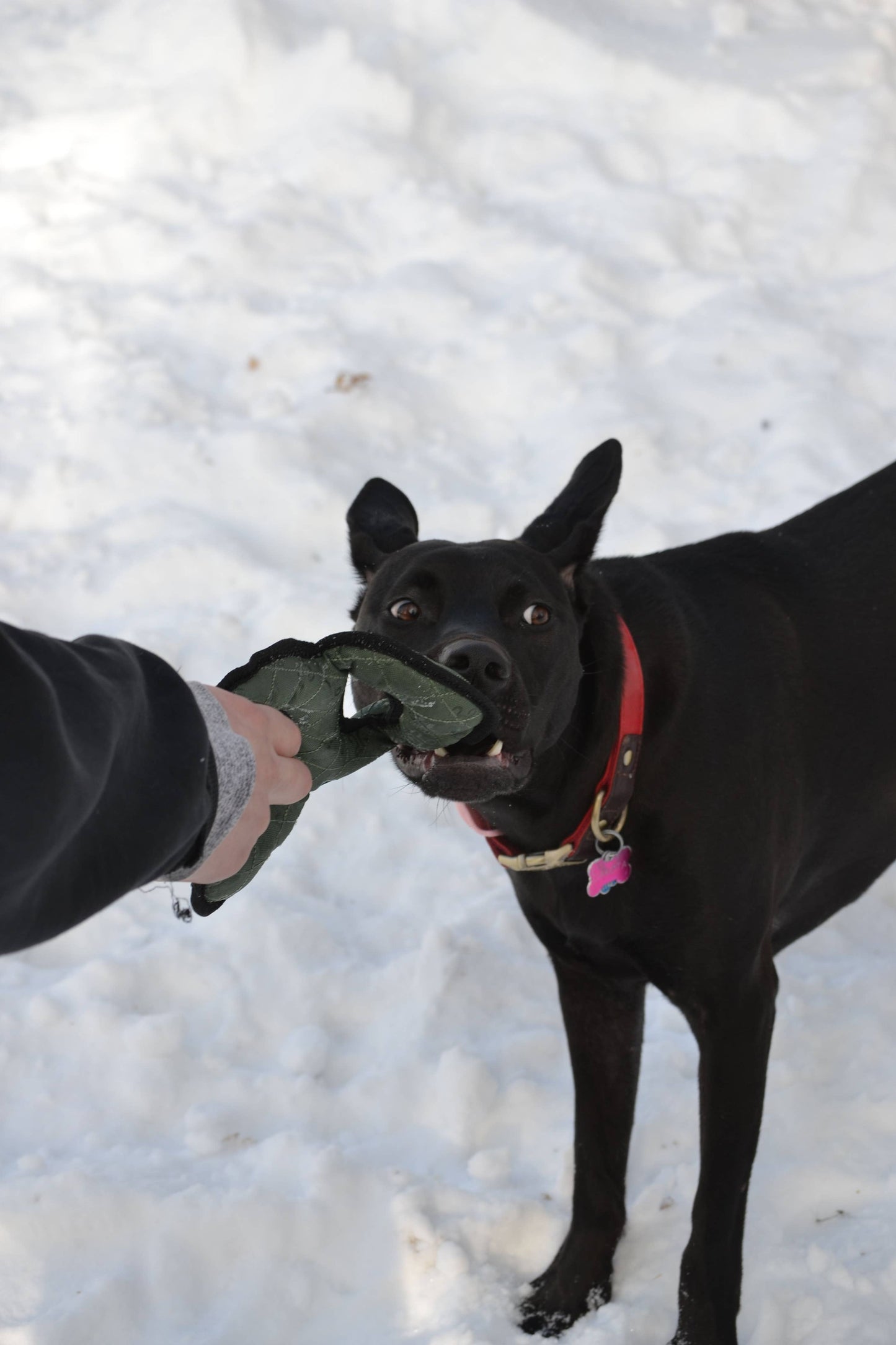 Hooza Tug