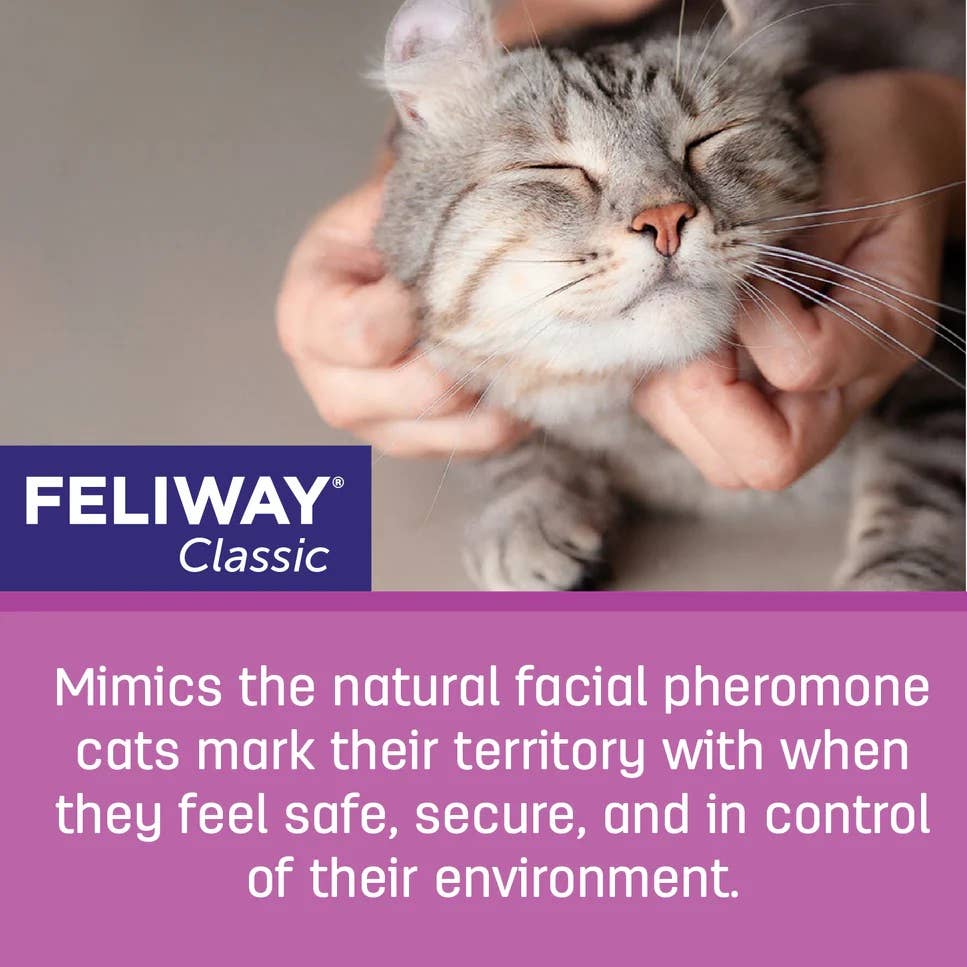Feliway Classic Cat Calming Pheromone Diffuser 30 Day Kit