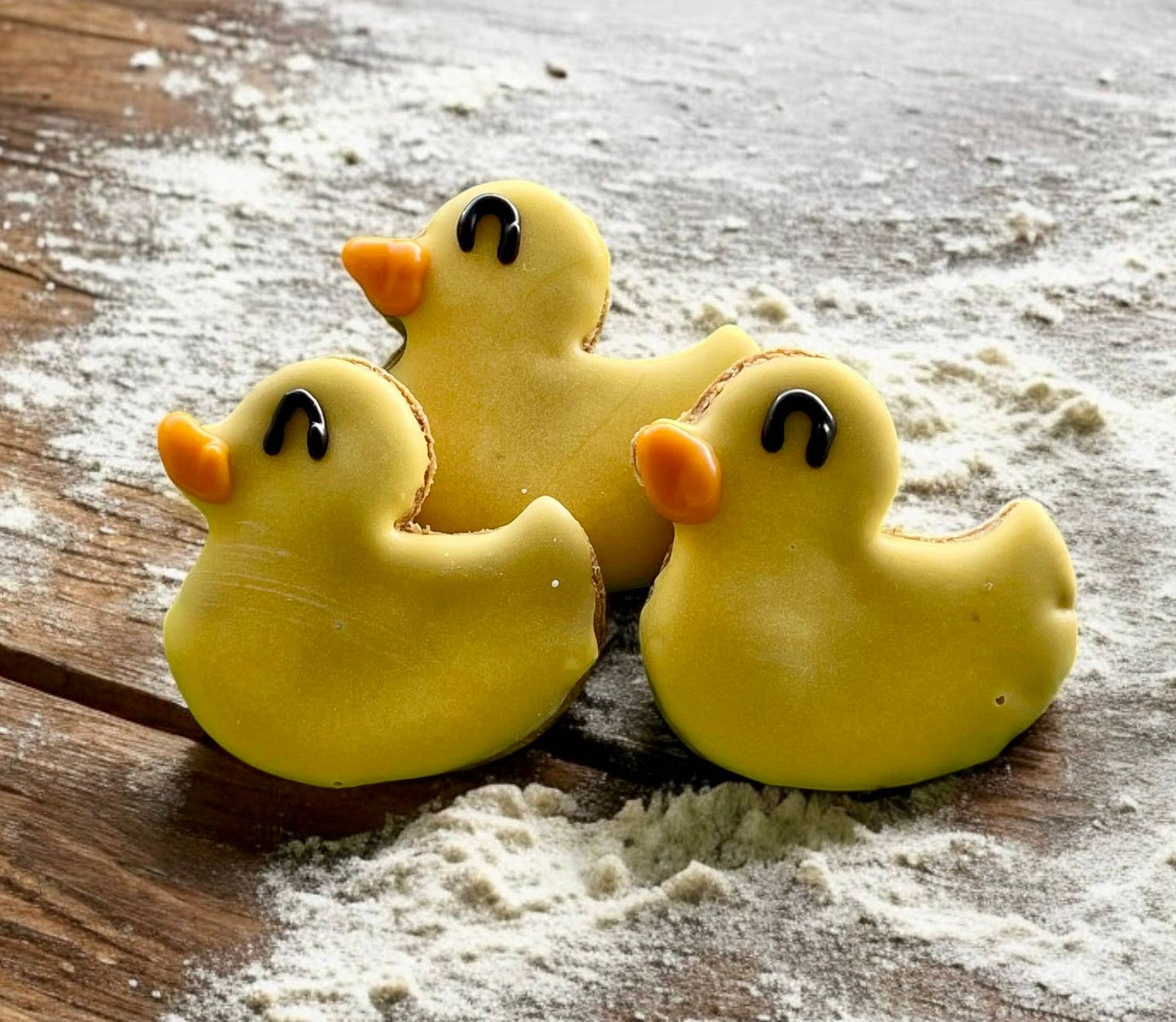 Mini Rubber Duckie Gourmet Dog Treats