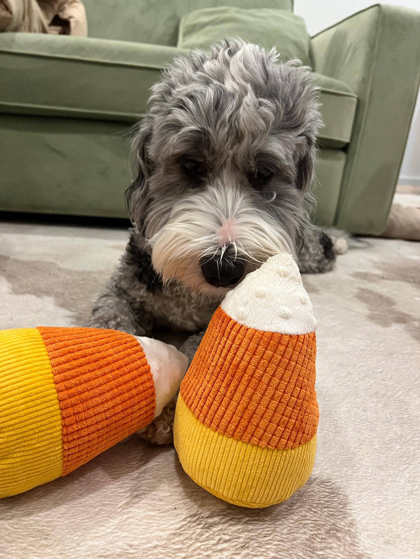 Midlee Plush Candy Corn Dog Toy- Set of 2