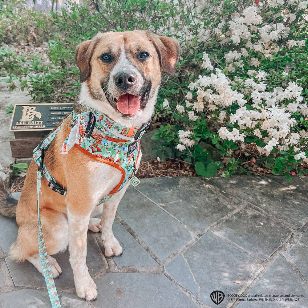 Dog Adjustable Harness - Scooby-Doo™