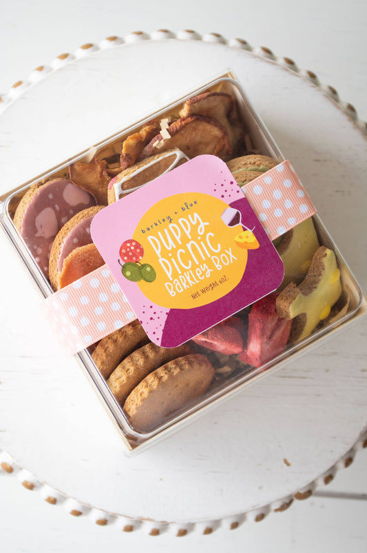 Puppy Picnic Barkley Box - Barkuterie Box for Dogs