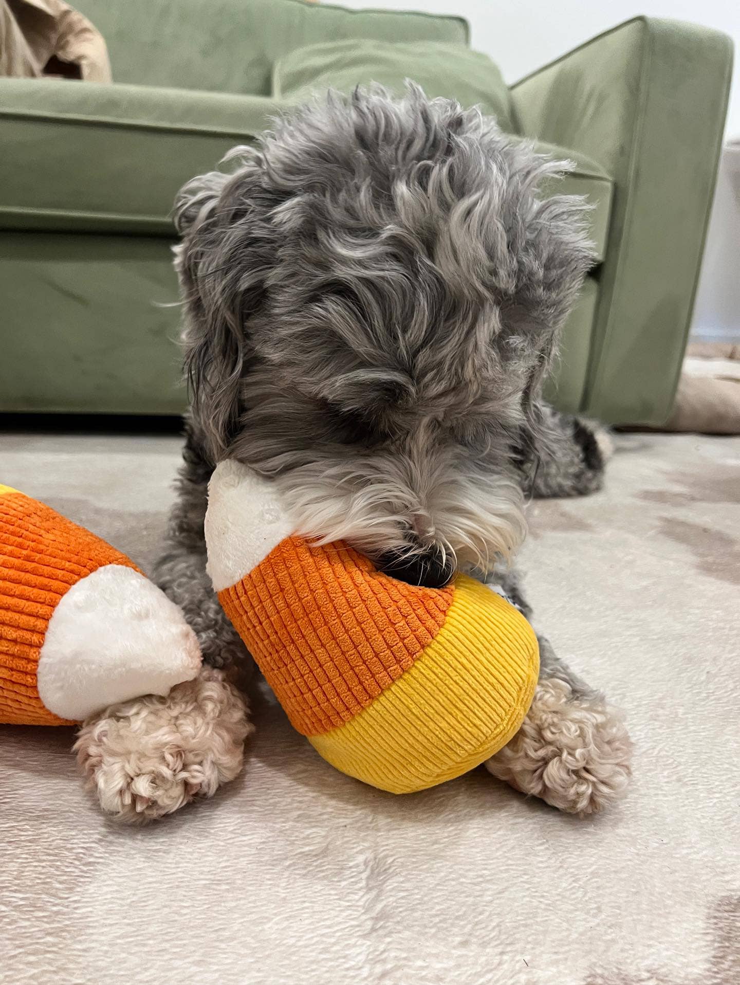 Midlee Plush Candy Corn Dog Toy- Set of 2