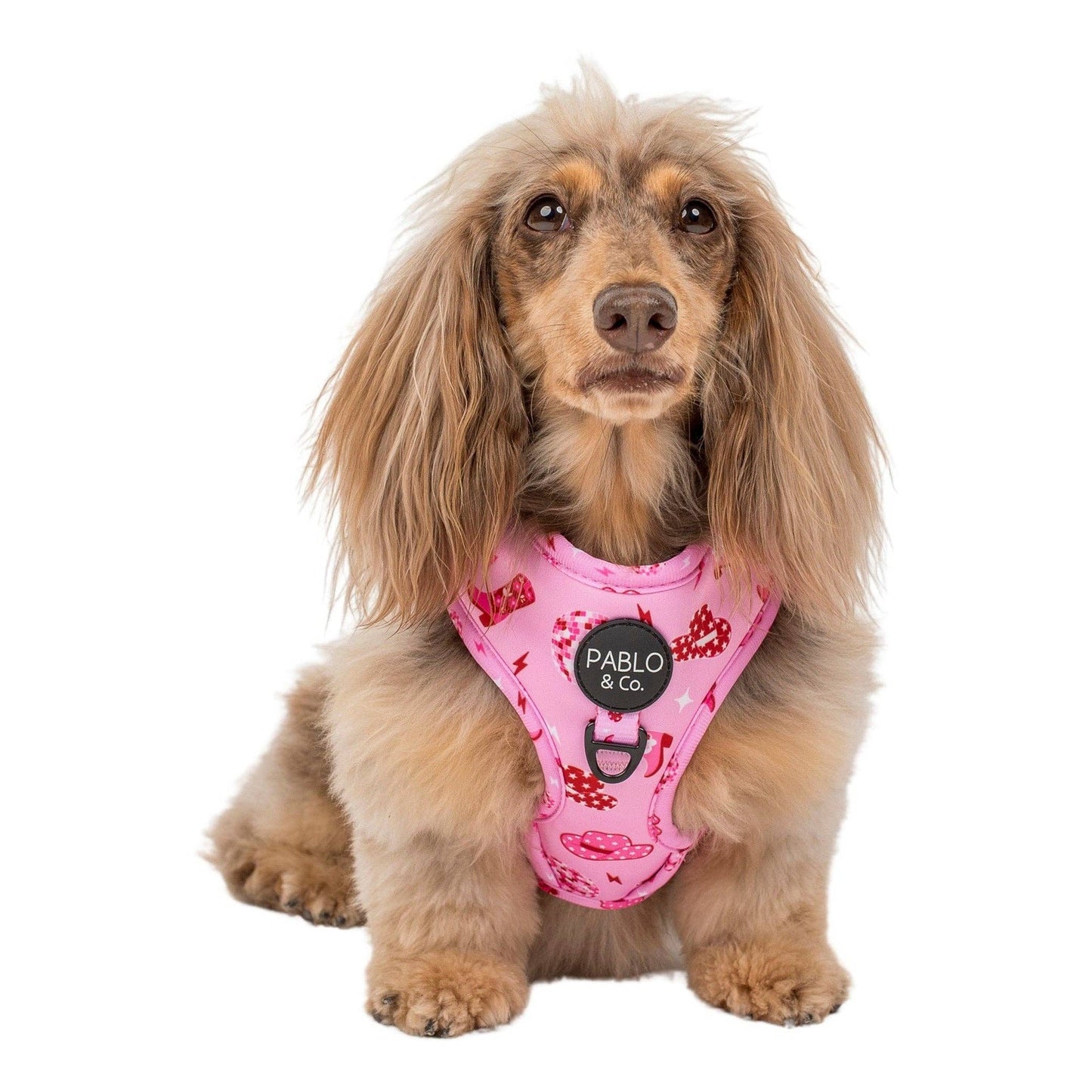 Disco Cowgirl: Adjustable Dog Harness