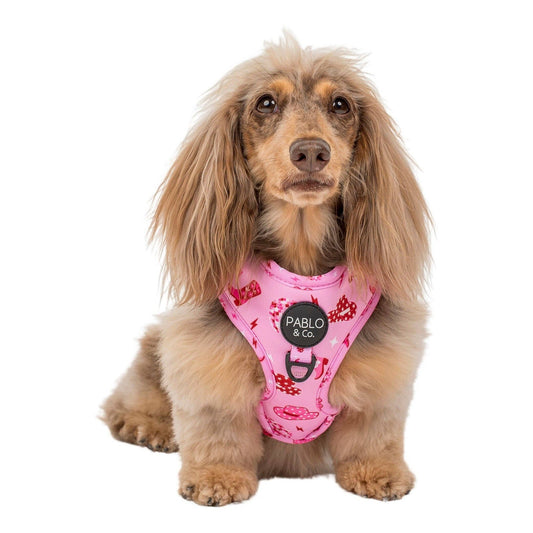 Disco Cowgirl: Adjustable Dog Harness