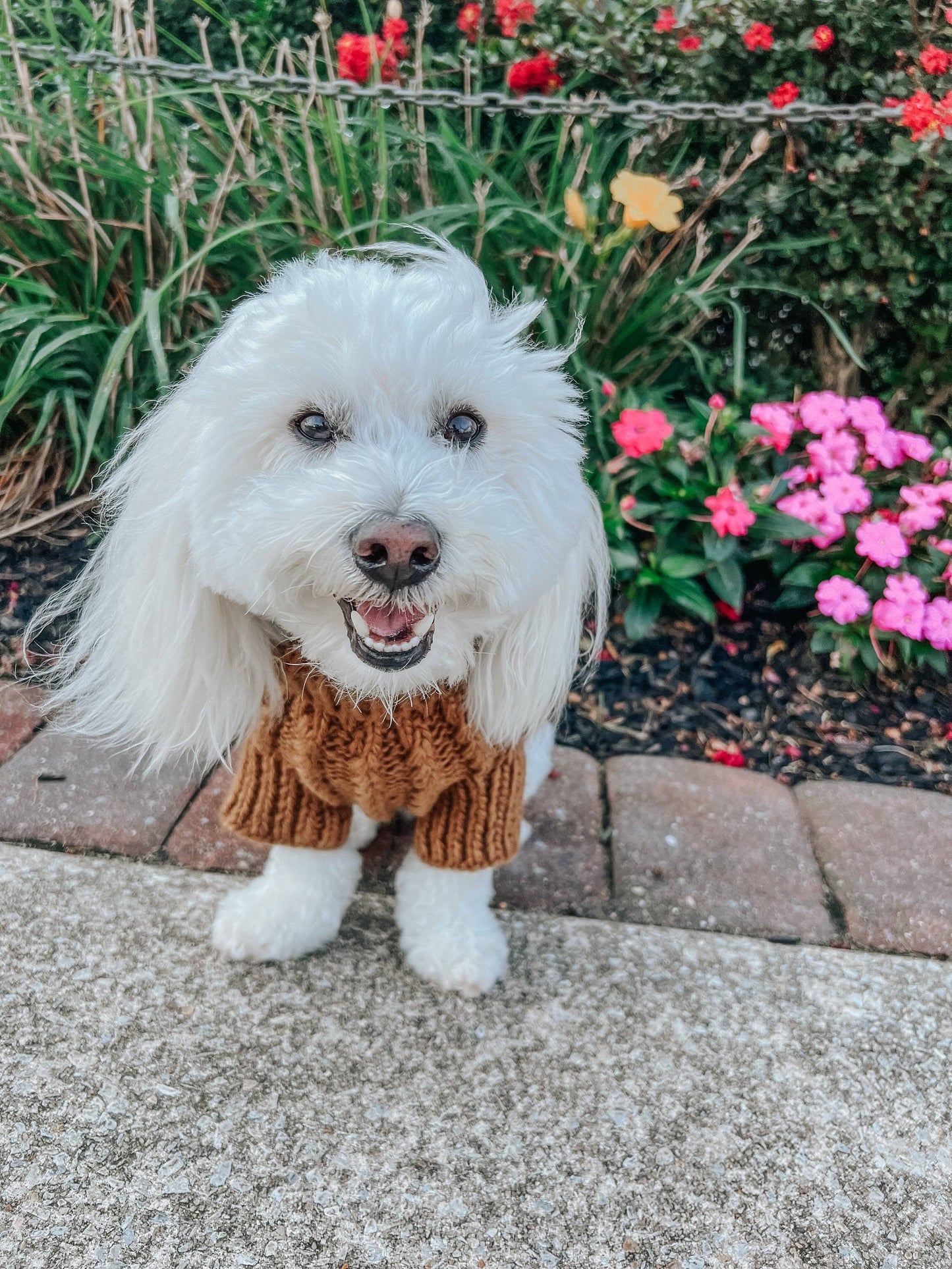 Pet Cable Knit Sweater - Brown