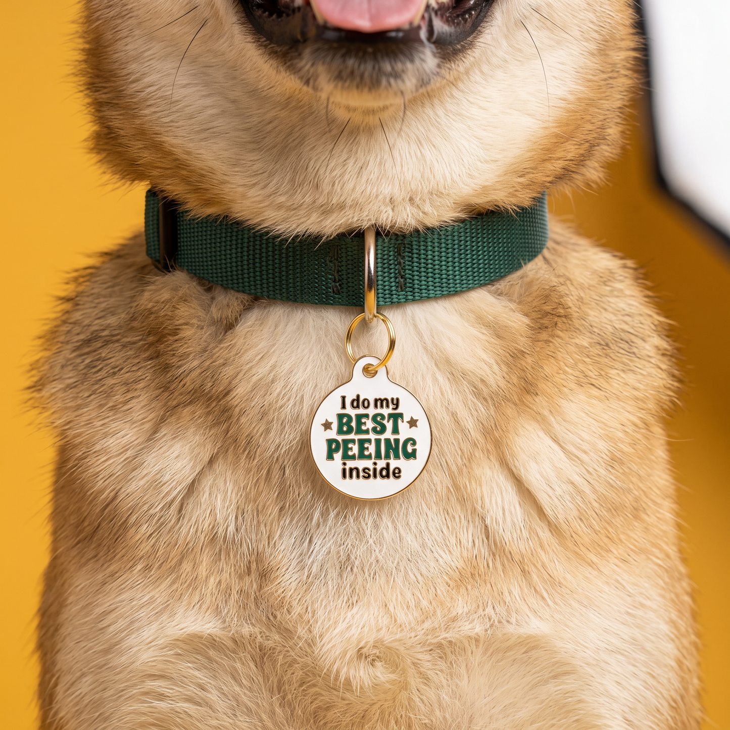 Funny Dog Tag Charm & Pet ID - I Do my Best Peeing Inside