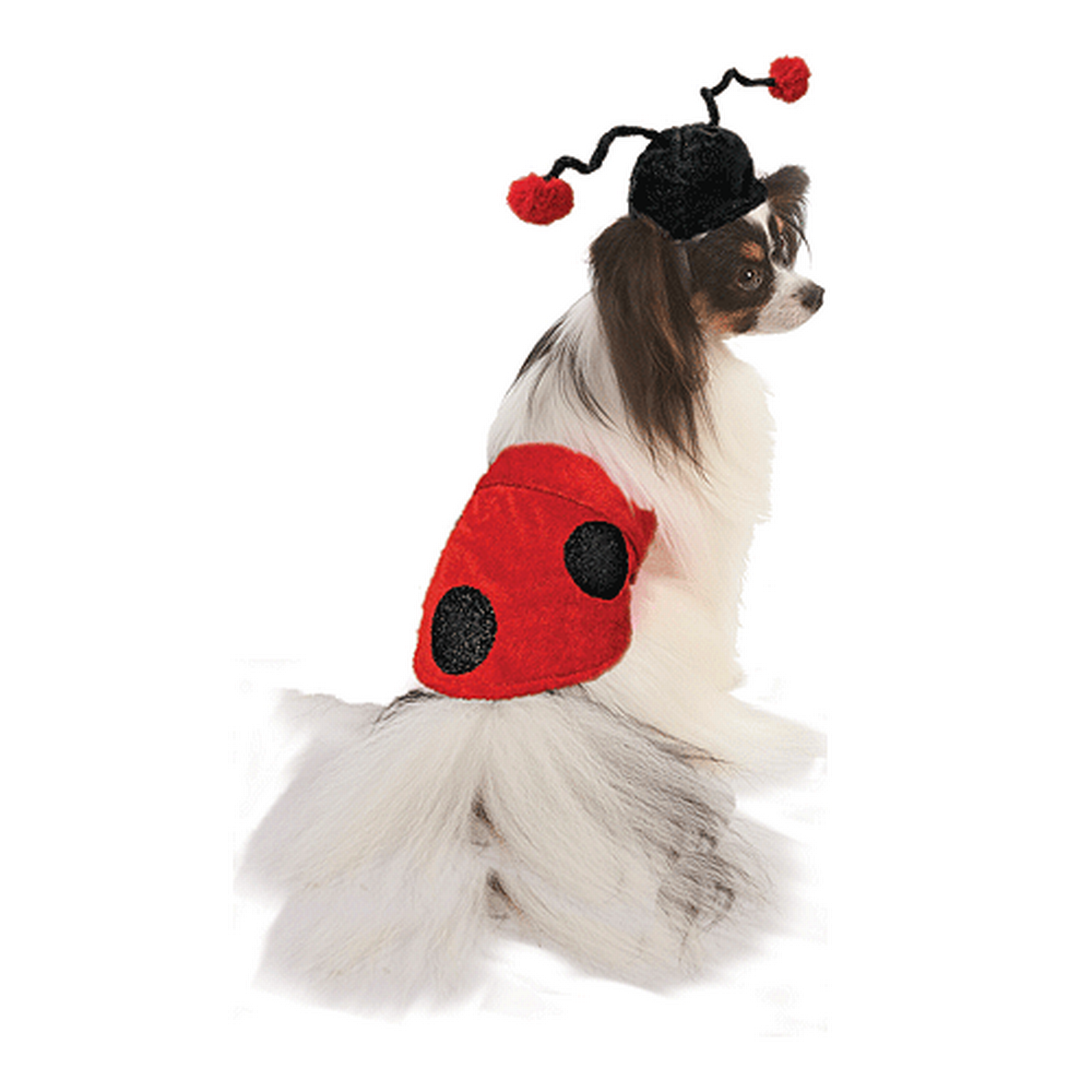 Fashion Pet Halloween Costume Ladybug M/L