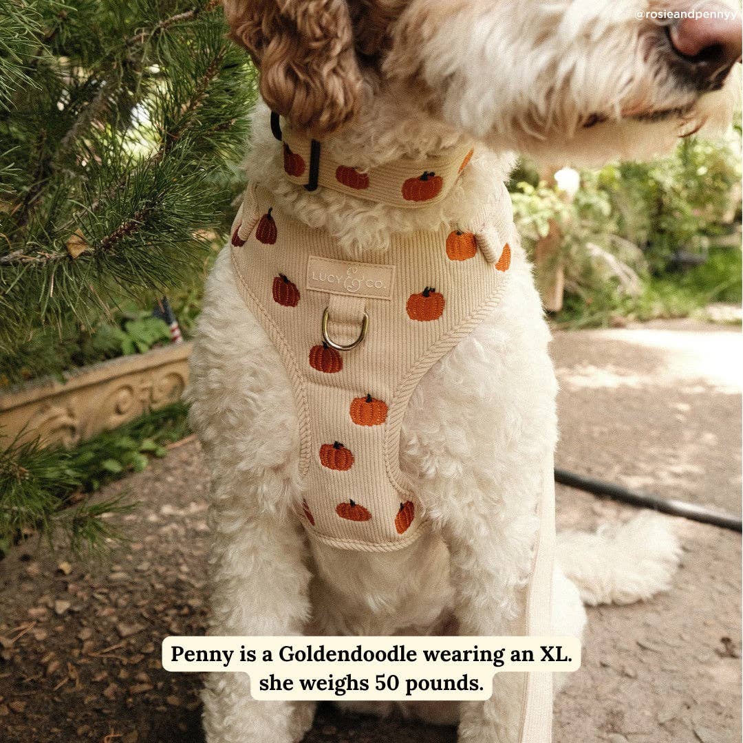 Oh My Gourd Corduroy No-Pull Harness